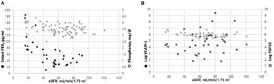 Effects of Normal Reference Range of Phosphorus and Corresponding PTH on Endothelial Function in CKD Patients